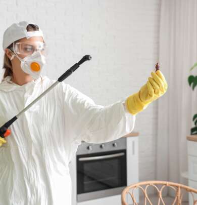 How to Prevent Household Pests Smart Home Protection Tips to Keep Bugs and Rodents Away