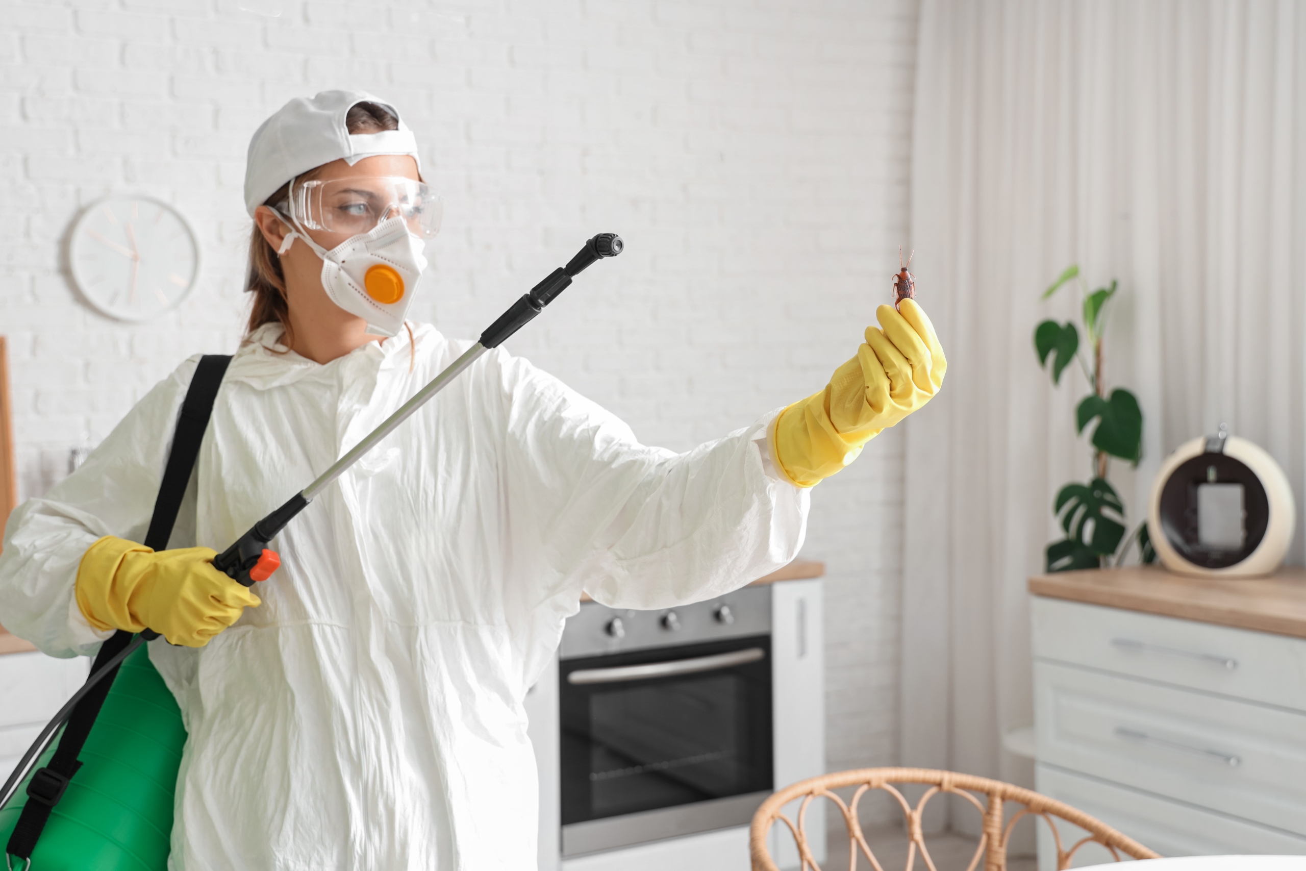 How To Prevent Household Pests: Smart Home Protection Tips To Keep Bugs And Rodents Away