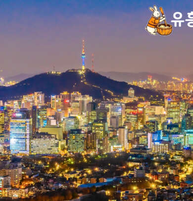 Image of Seoul City for the Nightlife experience